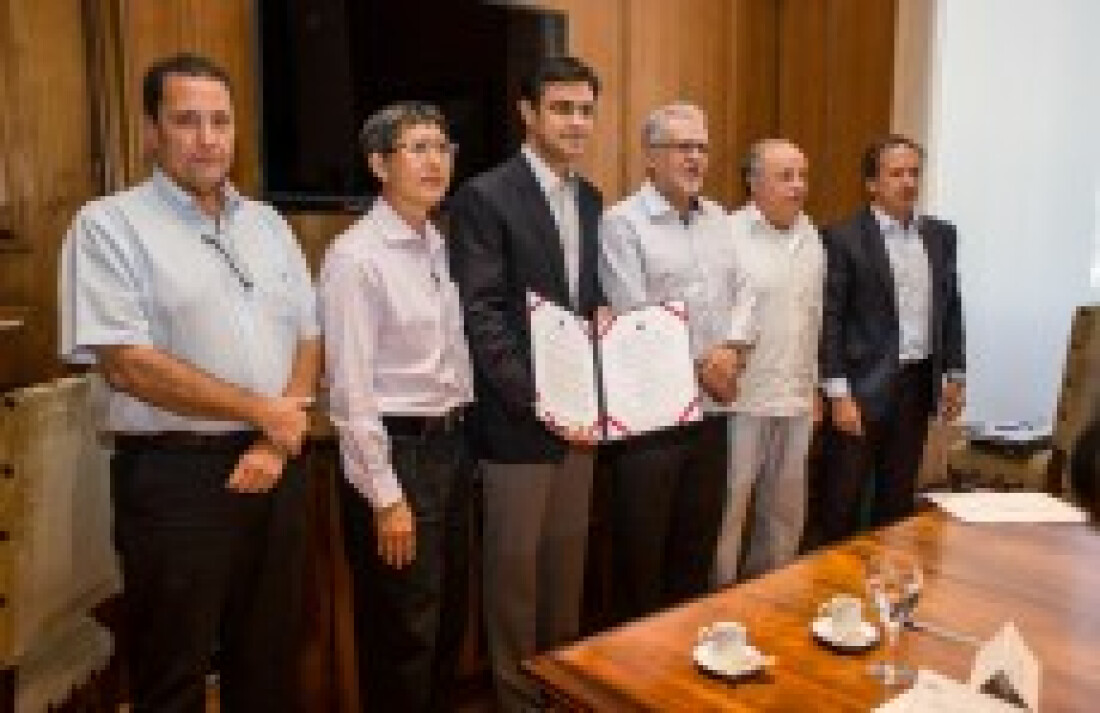 Governo do Estado autoriza 10 mil casas na Fazenda Albor