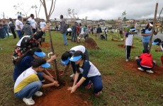 'Mogi Verde' realizará plantio de 50 mil árvores em três anos