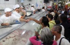 Mogianos correm para ter peixe no almoço