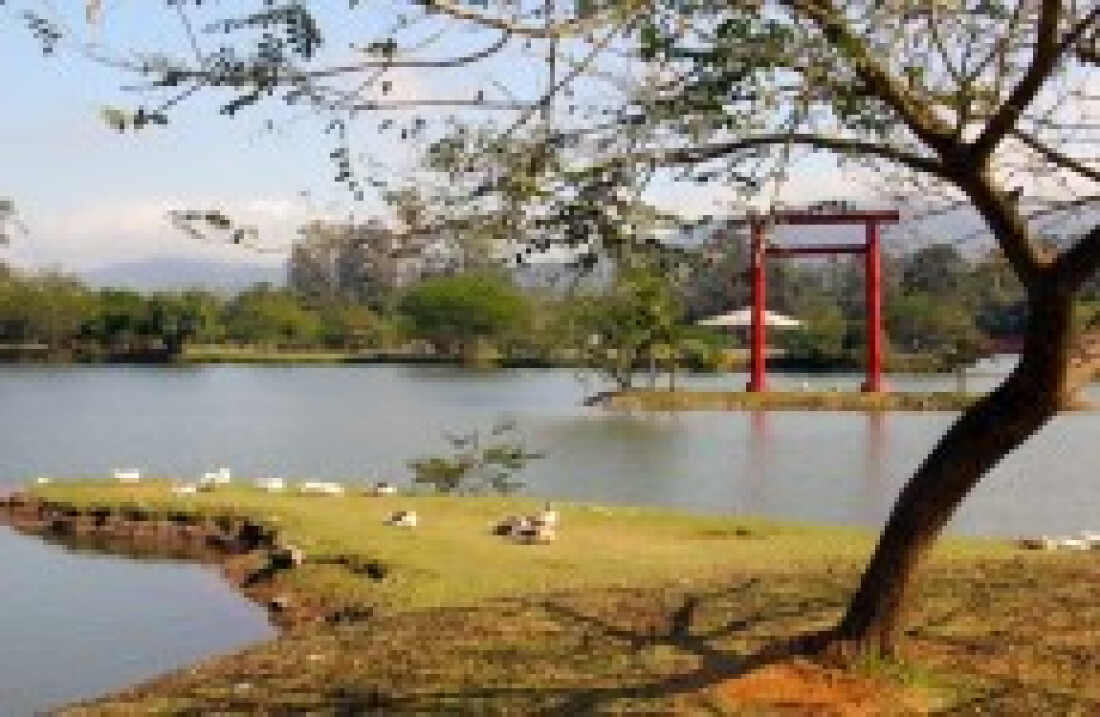 'Flashback no Parque' tem uma nova edição neste domingo