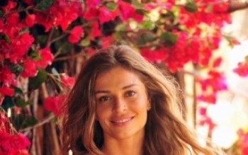 Flor do Caribe