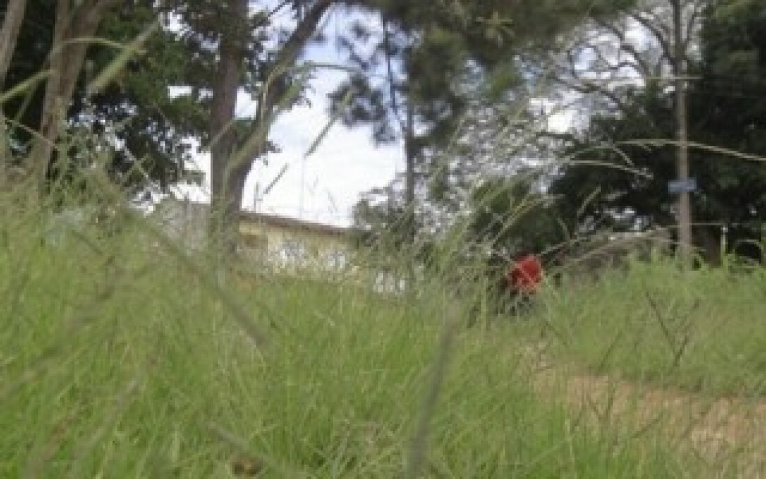 Moradores cobram limpeza de praça no Jardim Esperança: