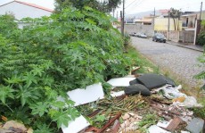 Terreno baldio vira ponto de descarte na Vila Natal