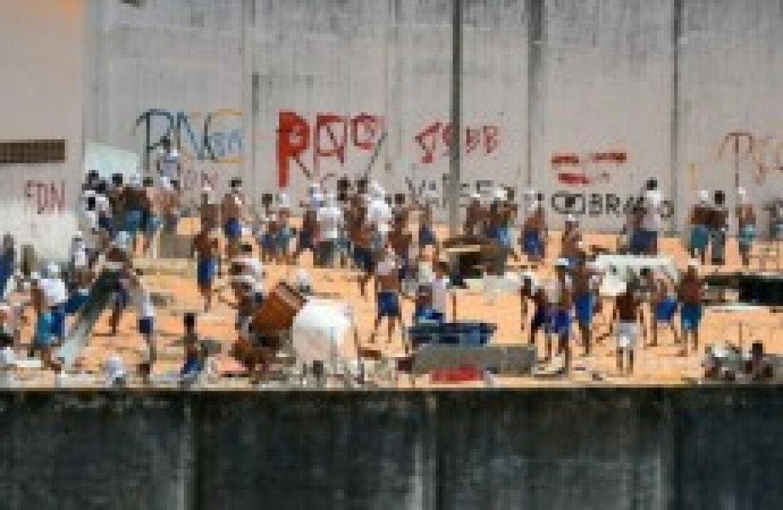Exames de DNA ainda serão feitos