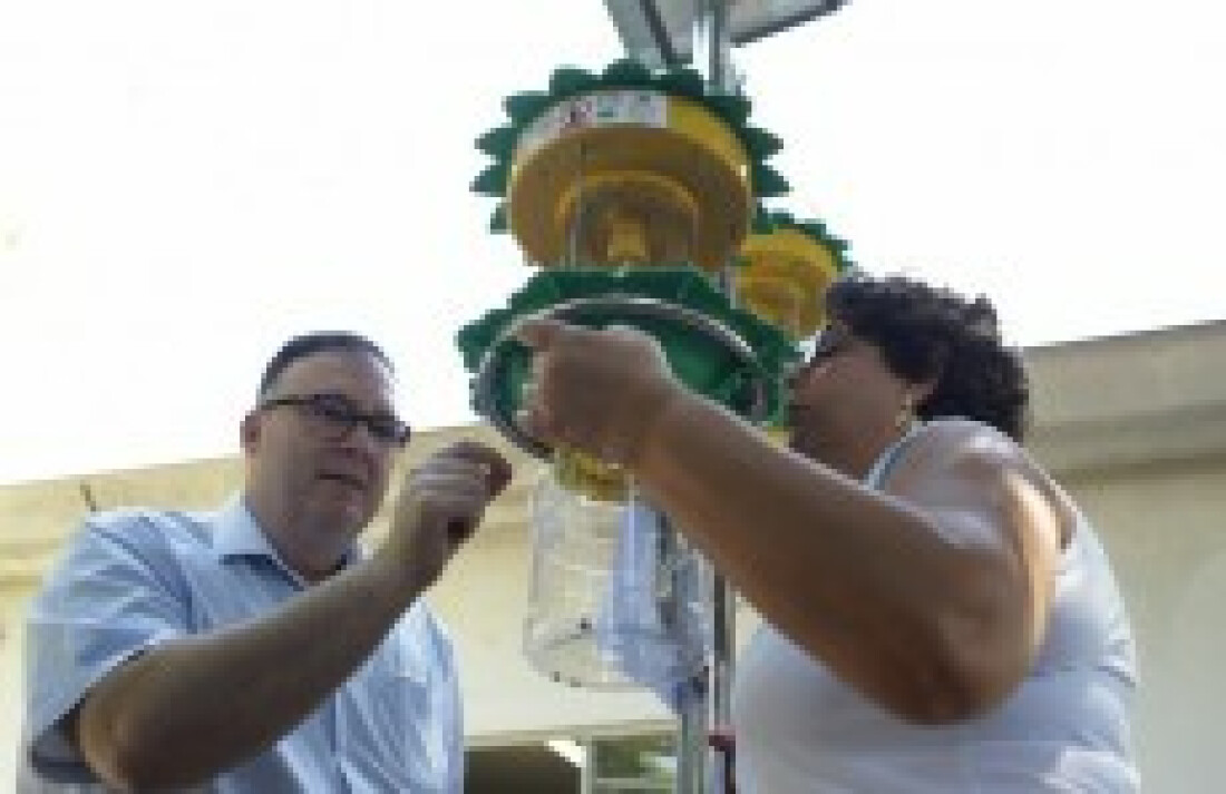 Casos de dengue diminuem 97,48%