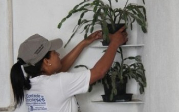 Casos de dengue caem de 170 para apena dois desde janeiro