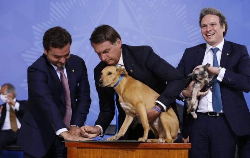 Bolsonaro sanciona lei que aumenta a pena