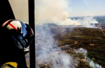 Fogo pode chegar à área verde na Bolívia