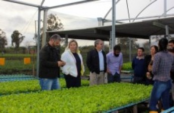 Merendeiras visitam agricultura familiar