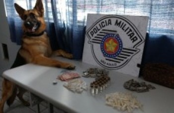 Canil da PM apreende drogas no Jd. Colorado