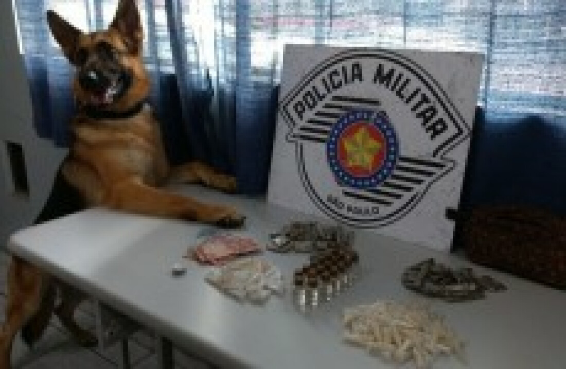 Canil da PM apreende drogas no Jd. Colorado