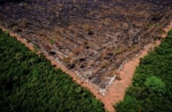 Europeus cobram ações do governo