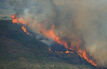 Fumaça avança para região Sudeste e Sul