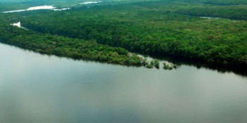 EUA estão empenhados em arrecadar recursos vultosos para Amazônia