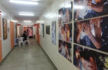 Suzanenses têm exposições gratuitas: