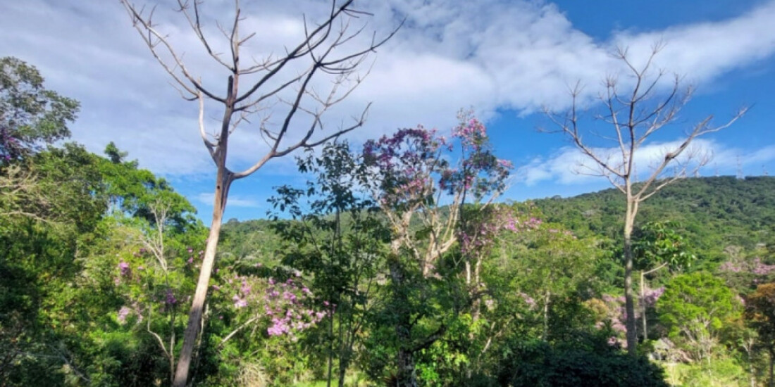 Programa de Educação Ambiental será tema de reunião