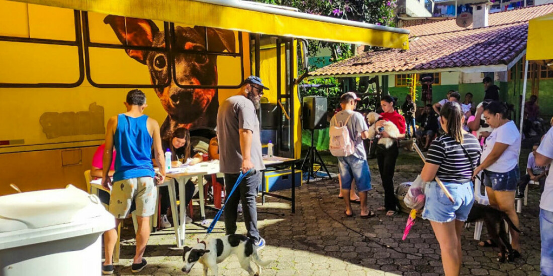 Prefeitura promove mais de 300 castrações gratuitas