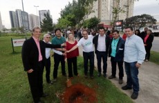 Plantio inicia Junho Verde