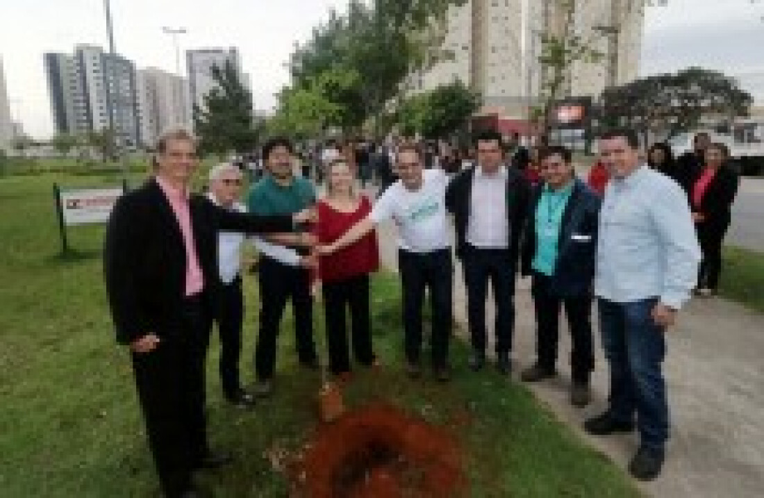 Plantio inicia Junho Verde