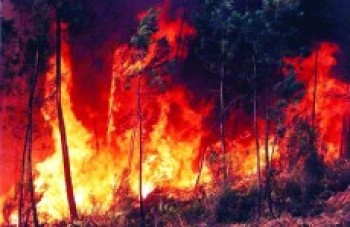 Queimadas afetam bairros em Arujá