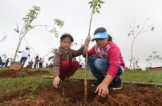 Mogi recebe lançamento do Selo Município Verde Azul