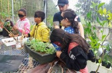 Escola Ambiental realiza atividades do Junho Verde