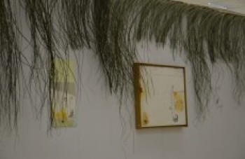 Câmara de Itaquá recebe a mostra 'Obé' neste mês