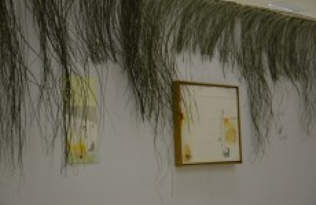 Câmara de Itaquá recebe a mostra 'Obé' neste mês