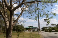 Ex-prefeito Junji Abe projeta nova era para o Leon Feffer