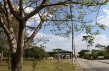 Ex-prefeito Junji Abe projeta nova era para o Leon Feffer