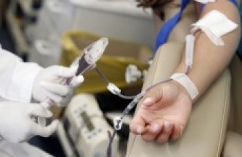 Novo aplicativo de celular conecta doadores de sangue a hemocentros