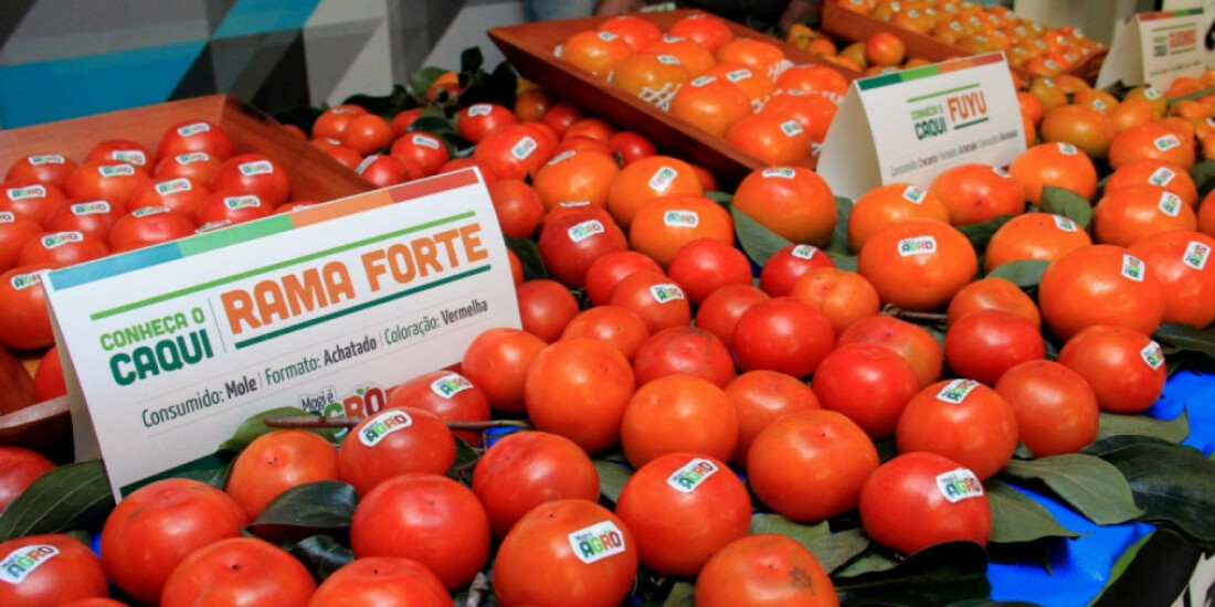 Mercadão de Mogi recebe evento da safra do caqui