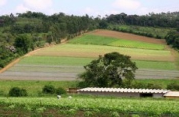 Condemat obtém aprovação de mais um projeto no Fehidro