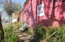 Área particular abandonada está cheia de mato e entulho