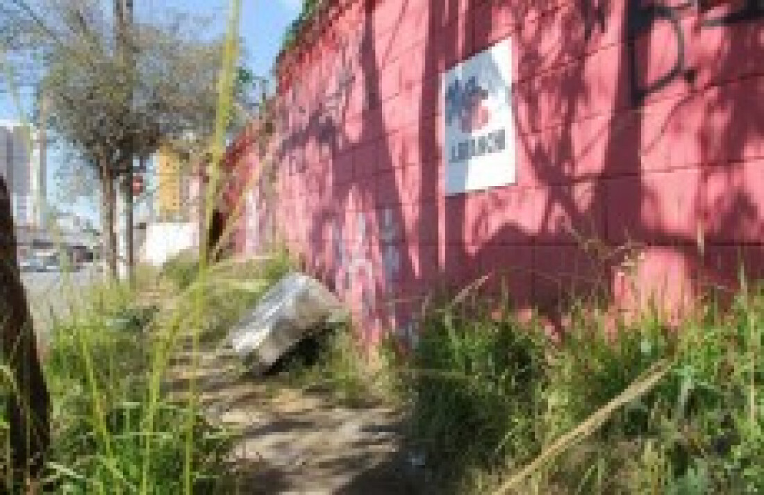 Área particular abandonada está cheia de mato e entulho