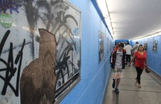 Túnel de pedestres no centro de Poá sofre com vandalismo
