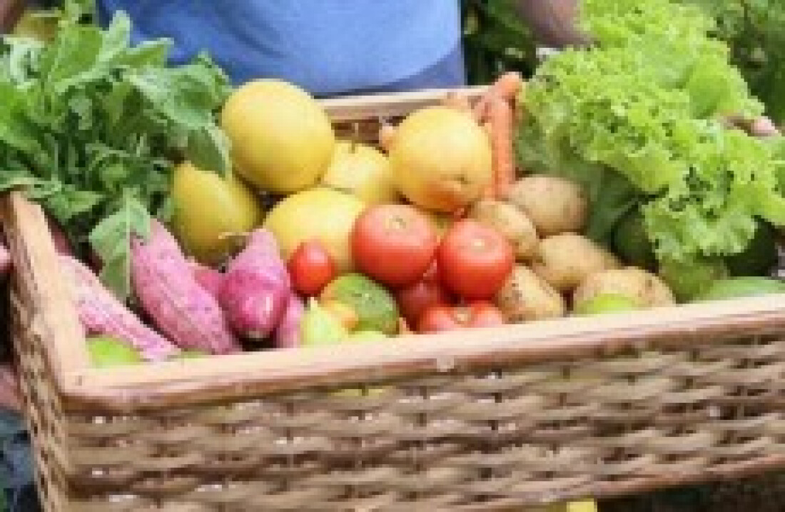 Começa 3ª fase da entrega de kits com alimentos da região
