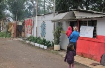 Suzano apura venda de lotes