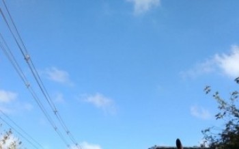 Estrada do Rio Acima tem serviços de manutenção
