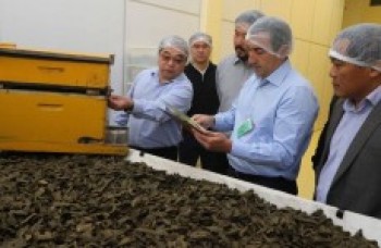 Prefeito vai à empresa MN Própolis