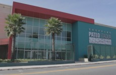 Expo Indústria Itaquá vai plantar árvores no parque