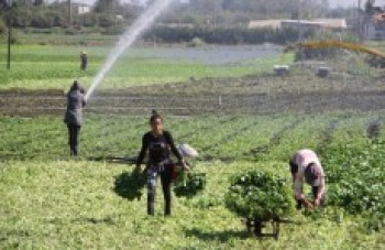 Setor produtivo critica o reajuste