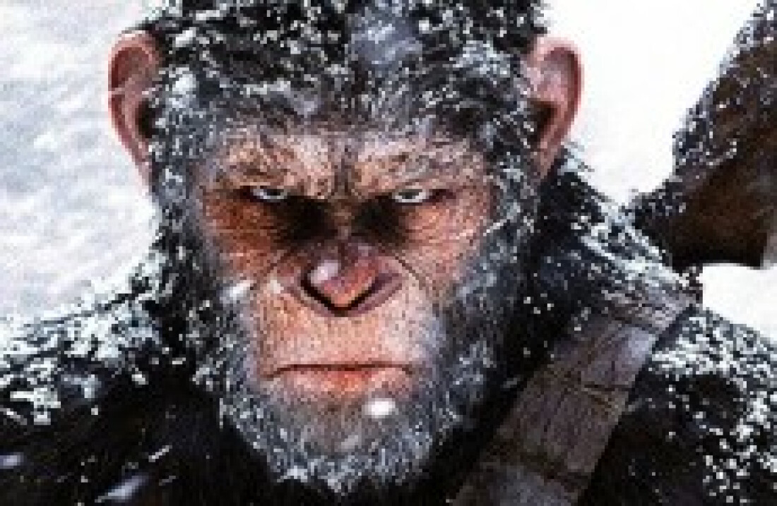 "Planeta dos Macacos: A Guerra"
