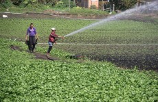 Agricultura movimenta cerca de R$ 450 milhões a cada ano
