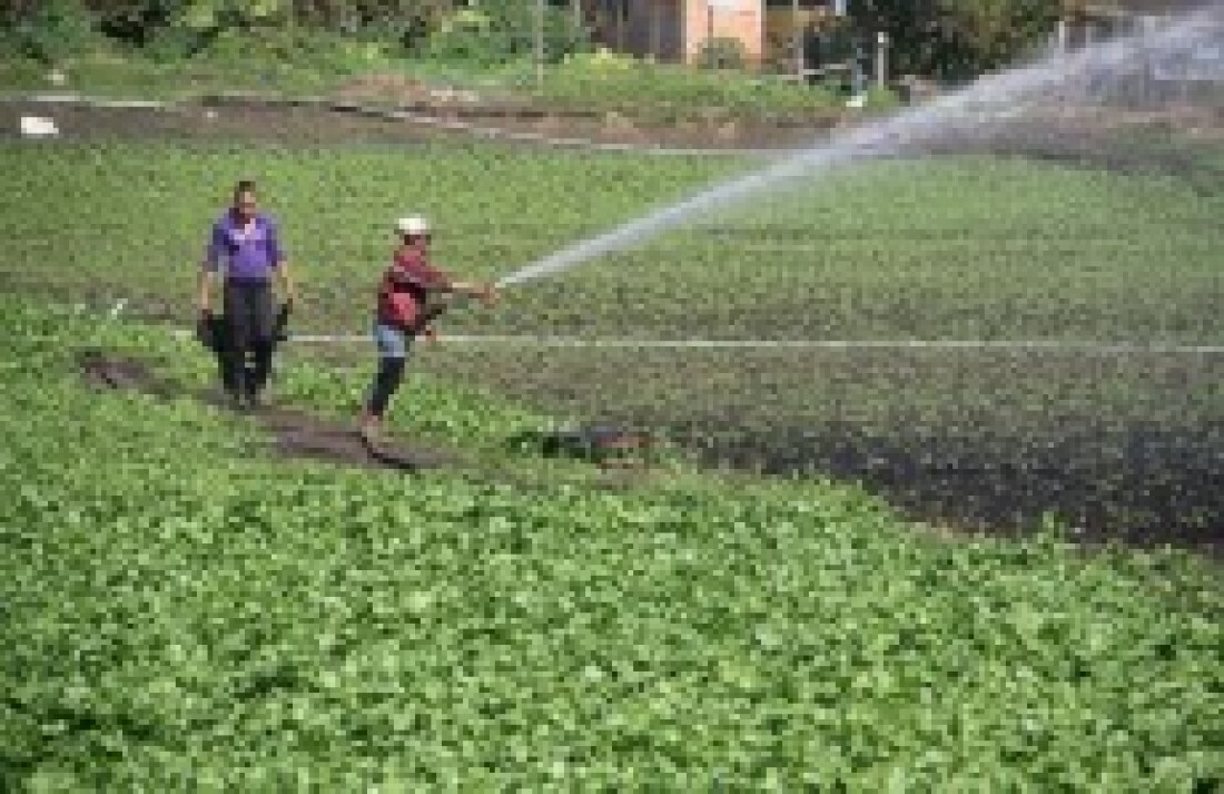 Agricultura movimenta cerca de R$ 450 milhões a cada ano