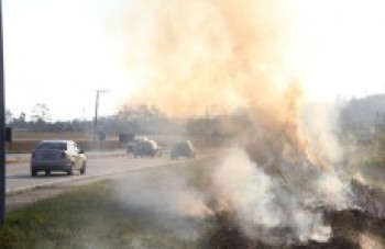 Número de queimadas no Alto Tietê registra queda de 68%