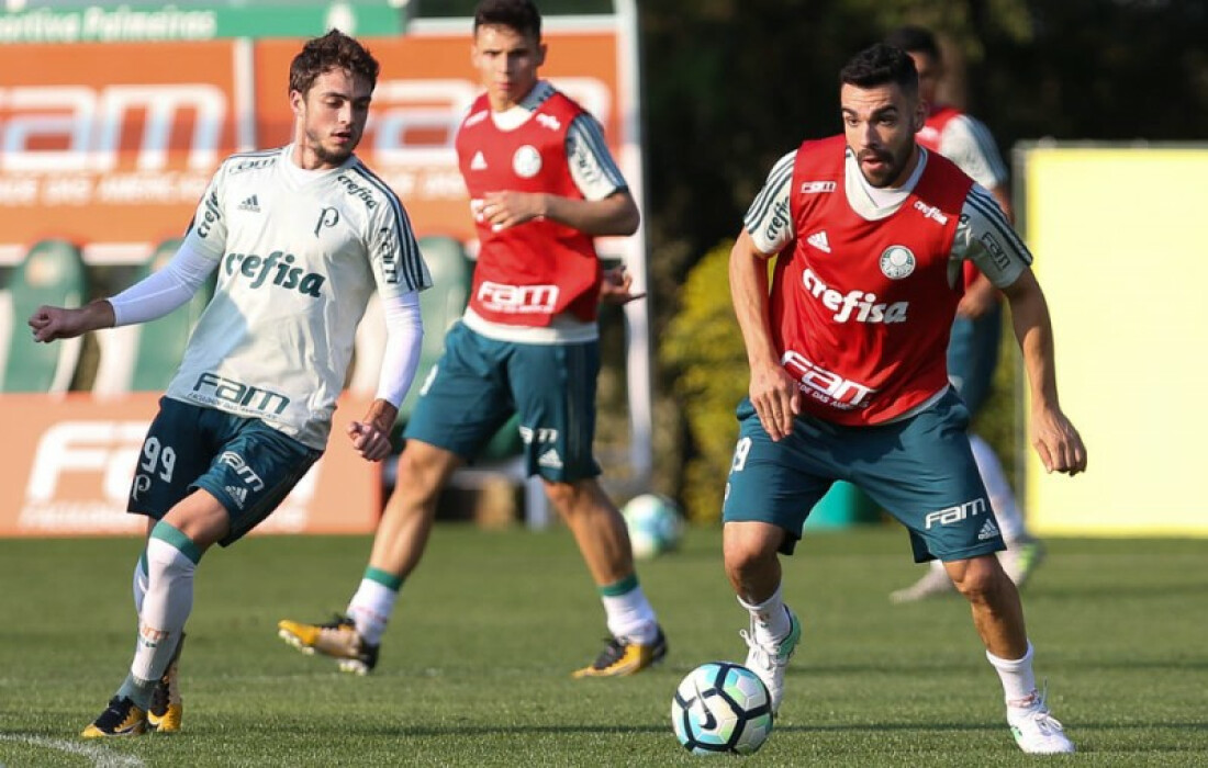 Palmeiras encara Avaí e mira série de vitórias