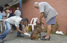 Vacinação começa em Mogi