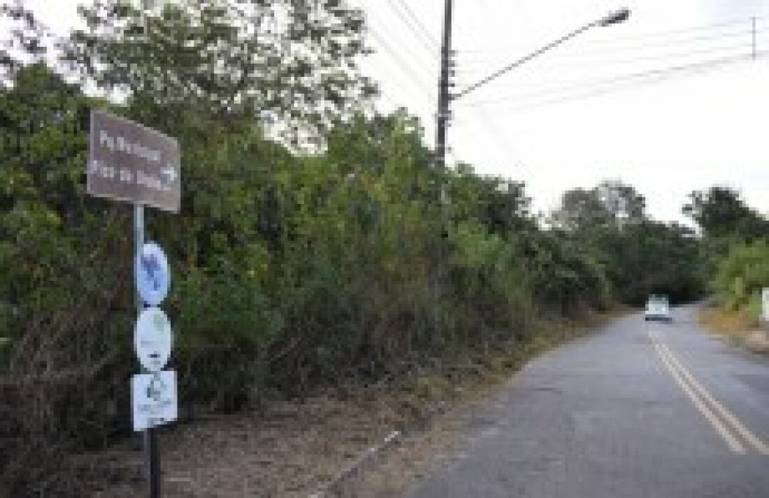 Pico do Urubu pode ganhar comissão para preservação