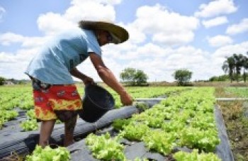 ONU pede auxílio contra fome para evitar tragédia alimentar